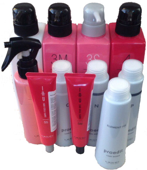 Lebel IAU Salon Care