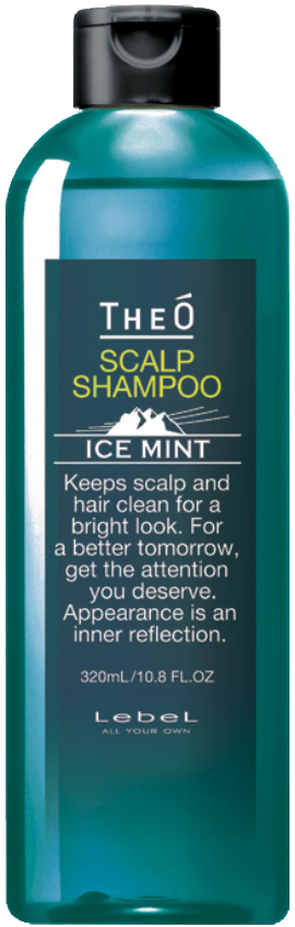 Многофункциональный шампунь для мужчин, Lebel Theo Scalp Shampoo Ice Mint