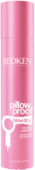 Redken Styling Pillow Proof Blow Dry Genius Extender