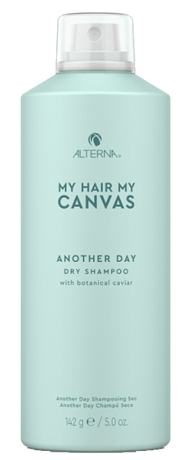 Alterna My Hair My Canvas Another Day Dry Shampoo