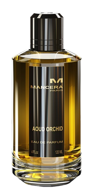 Mancera Aoud Orchid