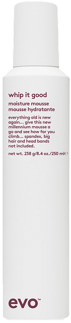 EVO Whip It Good Styling Mousse