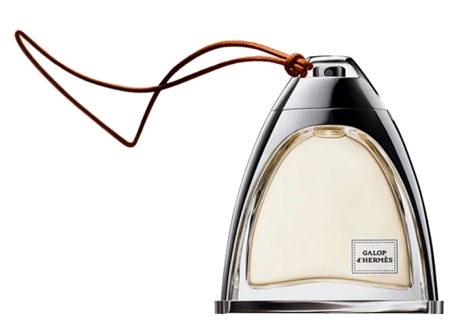 Hermes Galop D'Hermes