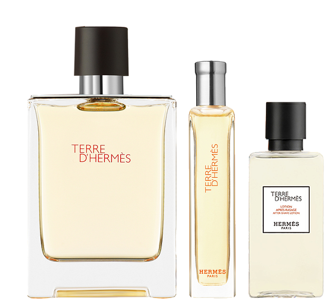 Hermes Terre D'Hermes Set (Edt 100 мл + Edt 15 мл + After-Shave Lotion 40 мл)
